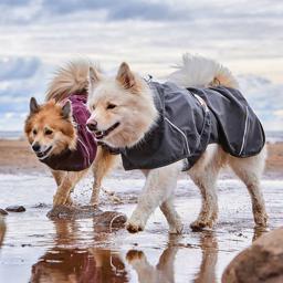 Hurtta ECO Mudventure Vandtæt Hundefrakke i Farven Blackberry